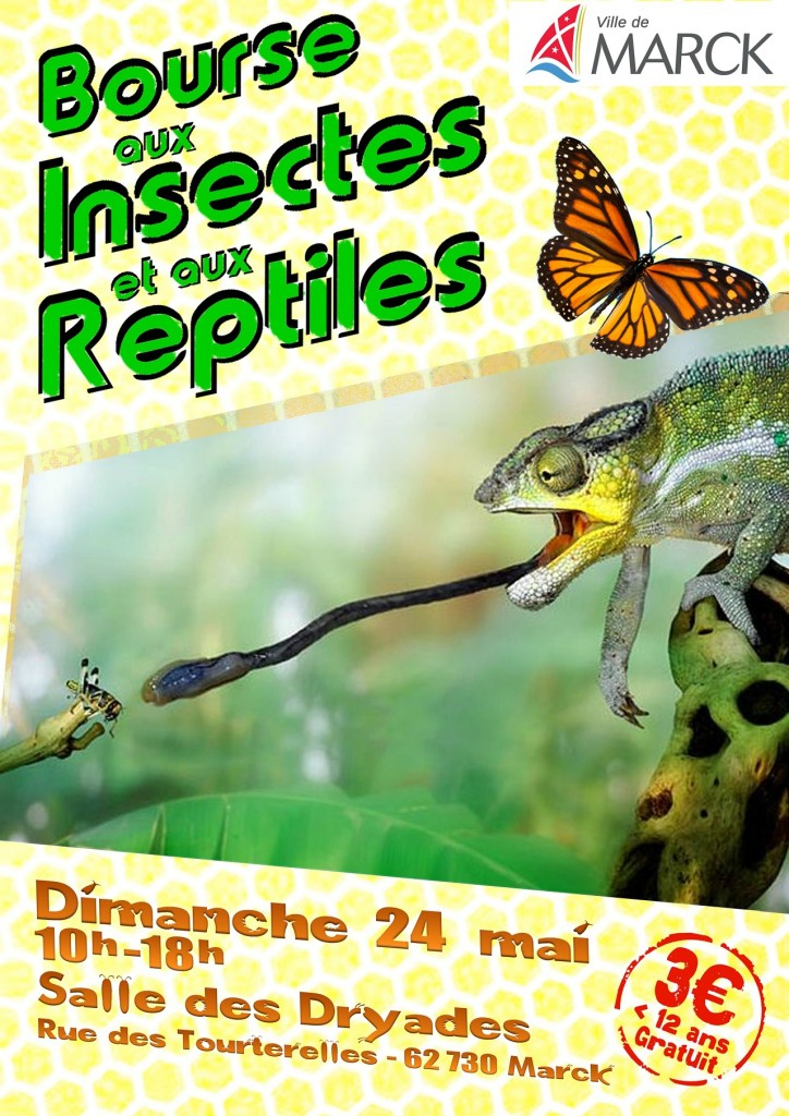 Bourse aux insectes et aux reptiles à Marck (62), le dimanche 24 mai 2015