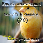 Bourse aux oiseaux à Boinville le Gaillard (78), le samedi 09 mai 2015