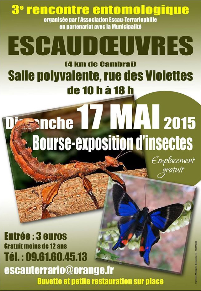 3 ème Rencontre entomologique à Escaudoeuvres (59), le dimanche 17 mai 2015