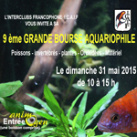9 ème grande Bourse aquariophile à Belgrade (Belgique), le dimanche 31 mai 2015