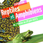 Exposition reptiles et Amphibiens à Cran Gevrier (74), du 07 février au 28 juin 2015