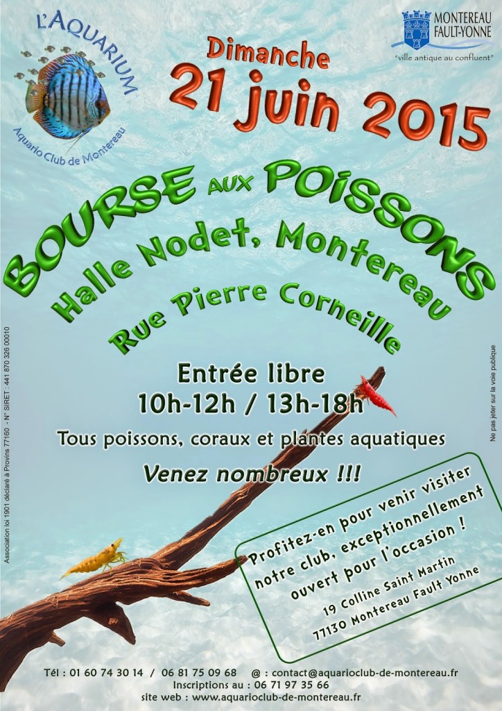 Bourse aux poissons à Montereau Fault Yonne (77), le dimanche 21 juin 2015