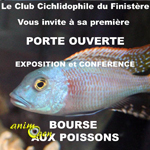 Bourse aux poissons, exposition, conférence à Châteauneuf du Faou (29), le samedi 13 juin 2015