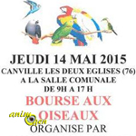 Bourse aux oiseaux à Canville les deux Eglises (76), le jeudi 14 mai 2015