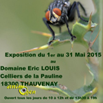 Exposition de photographies et peintures animalières à Thauvenay (18), du vendredi 1 er au dimanche 31 mai 2015