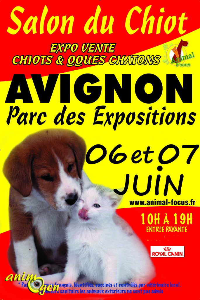 Salon Animal Focus en Avignon (84), du samedi 06 au dimanche 07 juin 2015