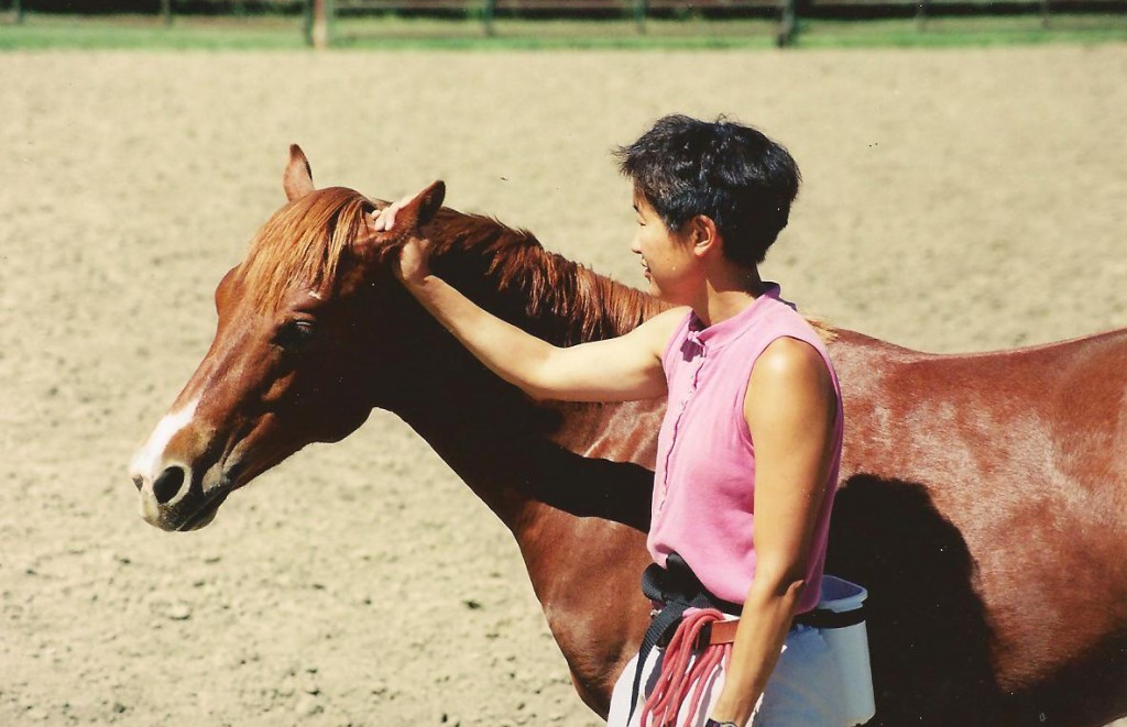 Comment désensibiliser les oreilles d'un cheval ?