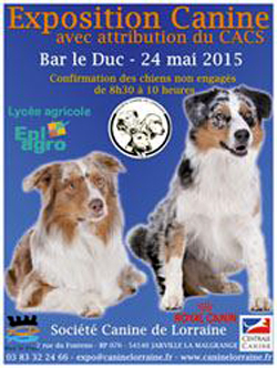 Exposition canine à Bar le Duc (55), le dimanche 24 mai 2015