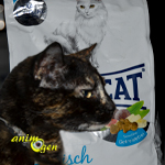 Alimentation : croquettes pour chat Happy Cat Seefish, aux bananes et aux figues (test, avis, prix)