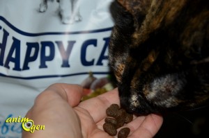 Alimentation : croquettes pour chat Happy Cat Seefish, aux bananes et aux figues (test, avis, prix)