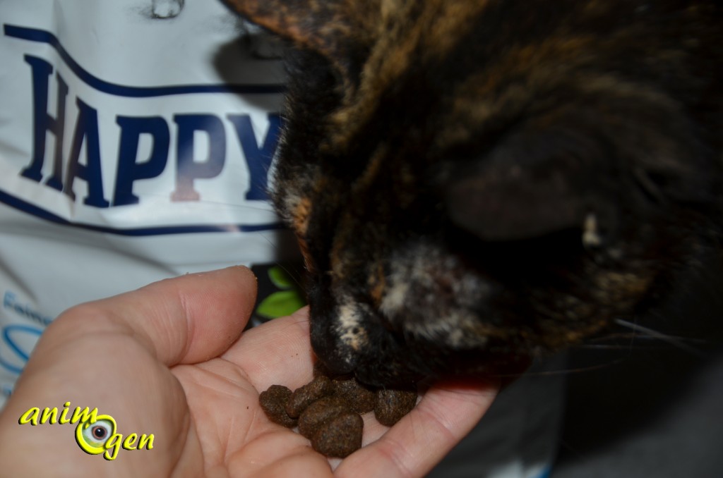 Alimentation : croquettes pour chat Happy Cat Seefish, aux bananes et aux figues (test, avis, prix)