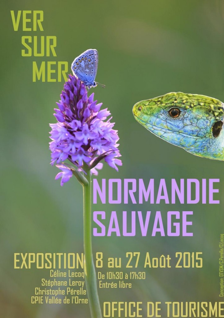 Exposition "Normandie Sauvage" à Ver sur Mer (14), du samedi 08 au jeudi 27 août 2015