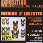 Exposition "Passion d'insectes" à Maurs (15), du mardi 02 juin au samedi 04 juillet 2015