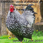 Exposition-vente d’animaux de basse-cour à Ducey (50), le samedi 27 juin 2015