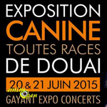 Exposition canine toutes races à Douai (59), du samedi 20 au dimanche 21 juin 2015