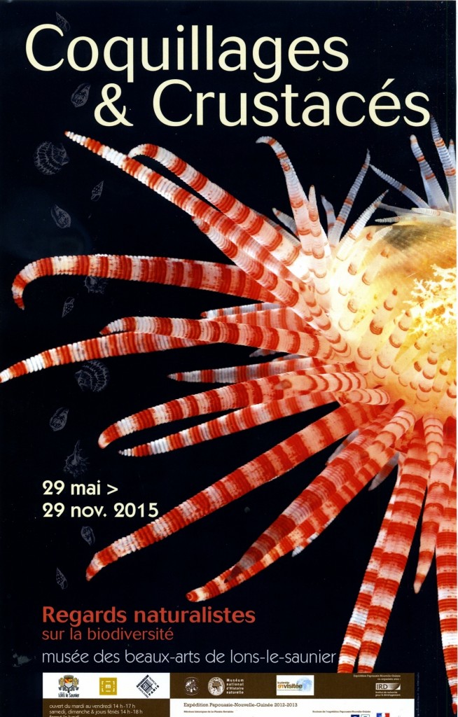 Exposition "Coquillages et Crustacés" à Lons le Saunier (39), du vendredi 29 mai au dimanche 29 novembre 2015