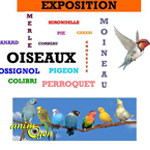 Exposition d’oiseaux flûte alors à Vals d’Aix Isable (42), du mardi 12 mai au vendredi 31 juillet 2015