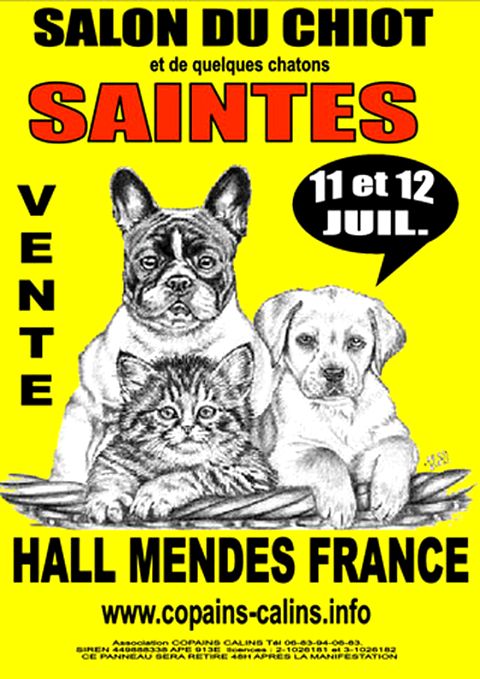 Salon du chiot et du chaton "Animaliades" à Saintes (17), du samedi 11 au dimanche 12 juillet 2015