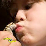 Santé : la salmonellose chez les reptiles et amphibiens (risques, conséquences, prévention)
