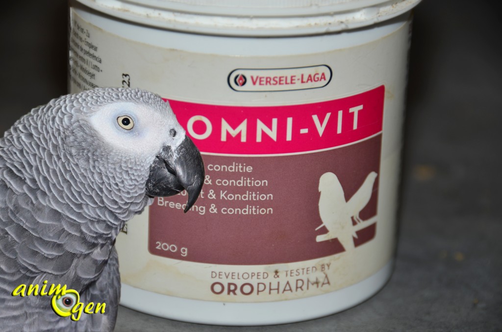 Les vitamines pour nos perroquets : Omni-Vit (Versele Laga)