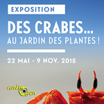 Exposition "Des crabes au Jardin des Plantes !" à Paris (75), du vendredi 22 mai au lundi 09 novembre 2015