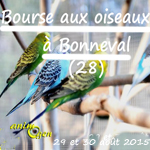 Bourse aux oiseaux à Bonneval (28), du samedi 29 au dimanche 30 août 2015