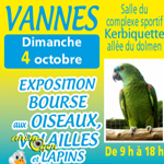 Exposition et Bourse aux oiseaux à Vannes (56), le dimanche 04 octobre 2015