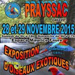 Exposition d'oiseaux exotiques à Prayssac (46), du samedi 28 au dimanche 29 novembre 2015