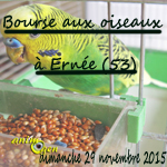 Bourse aux oiseaux à Ernée (53), le dimanche 29 novembre 2015
