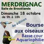 Bourse aux oiseaux, basse-cour et aquariophilie à Merdrignac (22), le dimanche 18 octobre 2015