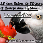 25 ème Salon de l’Oiseau et Bourse aux oiseaux à Gravelines (59), du samedi 31 octobre au dimanche 01 er novembre 2015