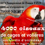 23 ème Championnat de France ornithologique FFO à Niort (79), du samedi 21 au dimanche 22 novembre 2015