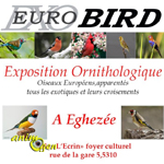 Eurobird à Eghezée (Belgique), du samedi 28 au dimanche 29 novembre 2015