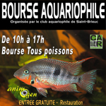 Bourse aquariophile à Saint Brieuc (22), le dimanche 15 novembre 2015