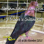 Exposition Nationale d'aviculture à Brienne le Château (10), du samedi 05 au dimanche 06 décembre 2015
