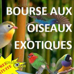Bourse aux oiseaux exotiques à Roques sur Garonne (31), le samedi 14 novembre 2015
