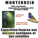 Exposition-Bourse d'oiseaux exotiques et volailles à Monterrein (56), le dimanche 15 novembre 2015