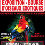 Exposition-Bourse d’oiseaux exotiques à Montjean sur Loire (49), le dimanche 07 février 2016