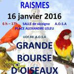 Grande Bourse d’Oiseaux à Raismes (59), le dimanche 16 janvier 2016