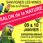 4 ème Bourse aux oiseaux à Noeux les Mines (62), du samedi 09 au dimanche 10 janvier 2016