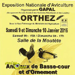 Exposition Nationale d’Aviculture à Orthez (64), du samedi 09 au dimanche 10 janvier 2016