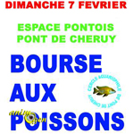 Bourse aux poissons à Pont de Cheruy (38), le dimanche 07 février 2016