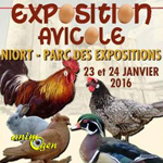 26 ème Exposition Avicole à Niort (79), du samedi 23 au dimanche 24 janvier 2016
