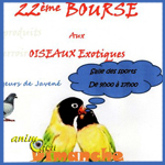 32 ème Bourse aux oiseaux exotiques à Beaucé (35), le dimanche 07 février 2016