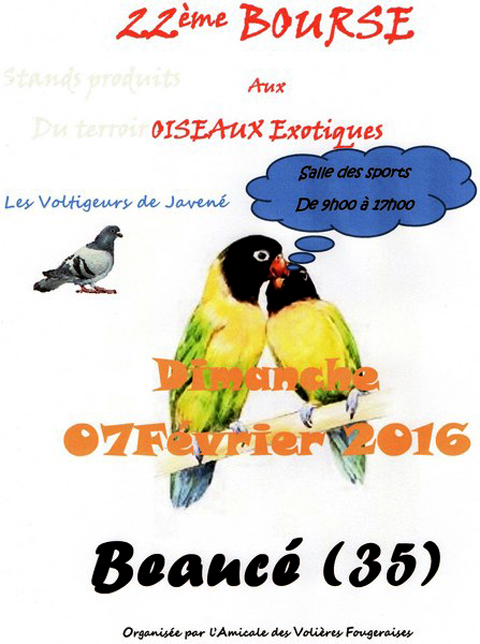 32 ème Bourse aux oiseaux exotiques à Beaucé (35), le dimanche 07 février 2016