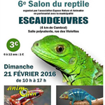 6 ème Salon terrariophile Escaut-Terra à Escaudoeuvres (59), le dimanche 21 février 2016