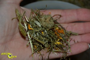 Alimentation pour lapins et rongeurs : foin et fleurs de prairie Blütenwiese, JR Farm (test, avis, prix)