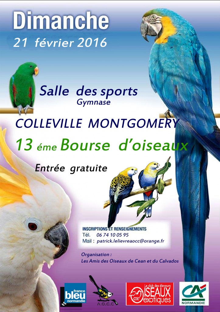 13 ème Bourse d’oiseaux à Colleville Montgomery (14), le dimanche 21 février 2016