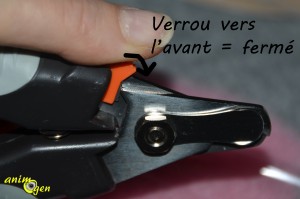 Accessoire : coupe-ongles pour chien Trixie (test, avis, prix)