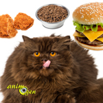 Alimentation et comportement : manger avec modération rend les chats plus affectueux